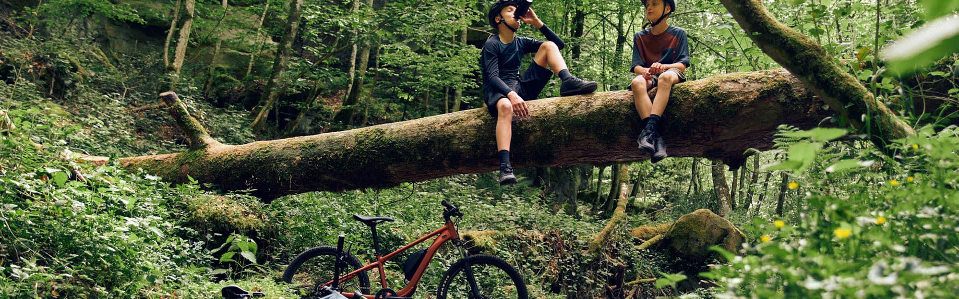 Electric Kids Bikes Giant Bicycles Giant Bendigo