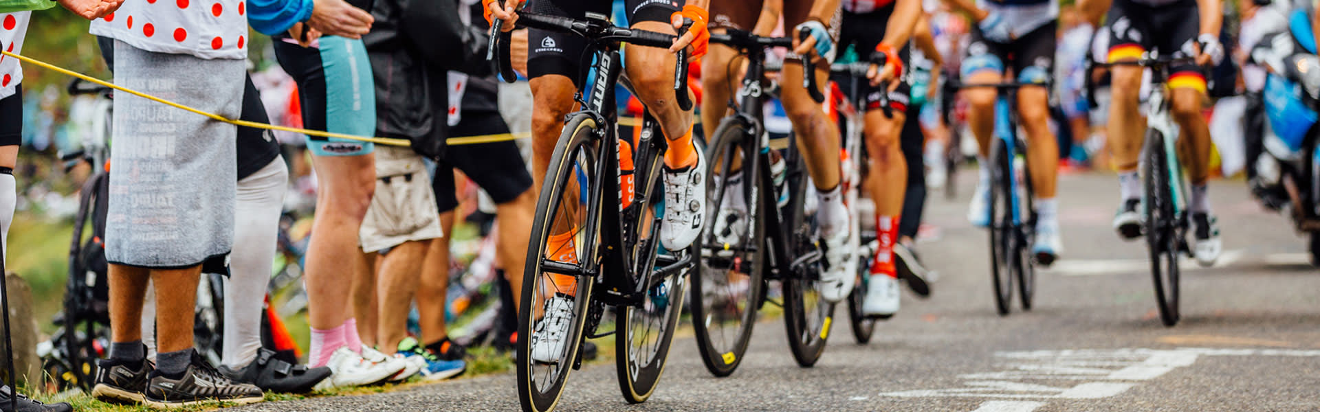 Road Racing Bike Collection Men's Race Road Bikes Giant Bicycles