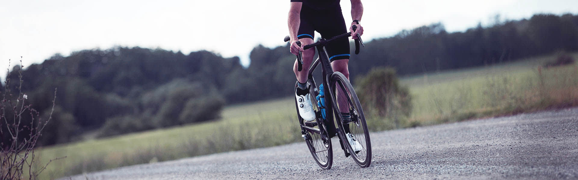 giant endurance road bike