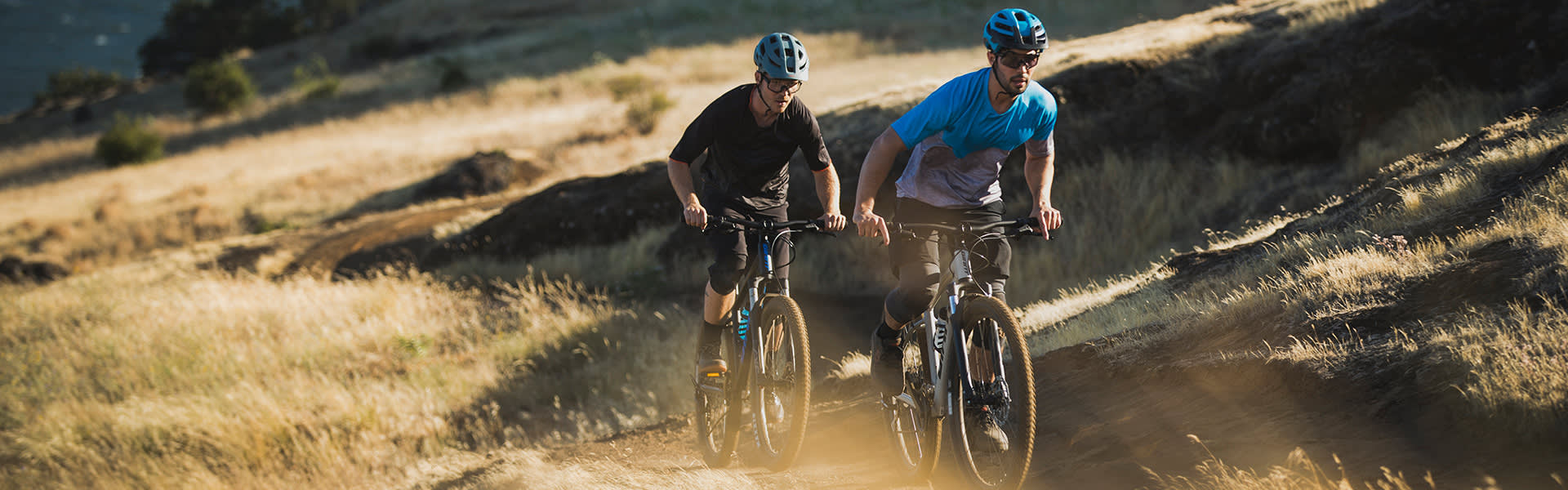 large giant mountain bike