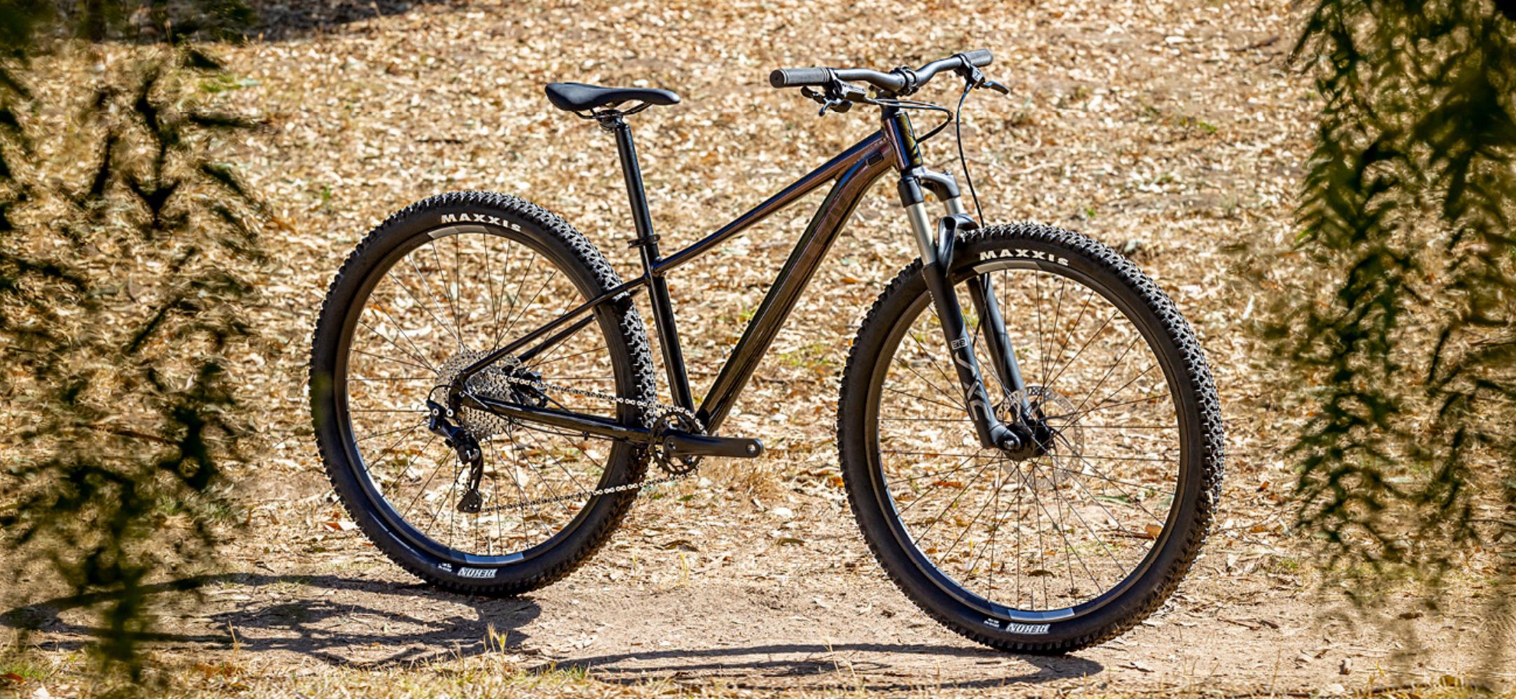 Liv Tempt Review — The Best Female Beginners Trail Bike