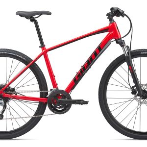 giant roam 2 disc 2020