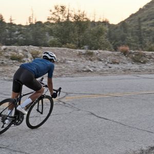 Gallery Picture Fleet SL Saddle