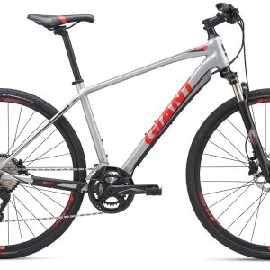 giant roam 1 disc 2019