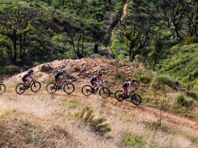 Bike Fit & Size Guide