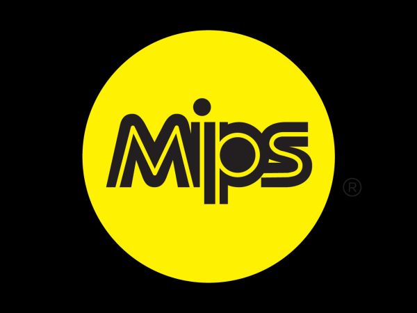 Qu'est ce que le système MIPS ?