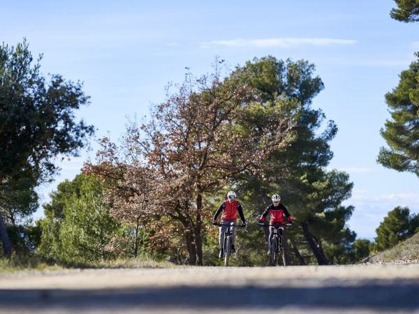 EBlue Ride : Comment convertir une personne au VTTAE ?