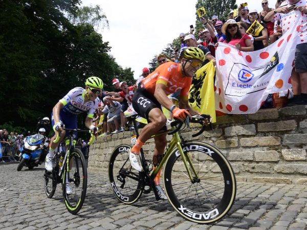 KING OF THE ONE-DAY RACES