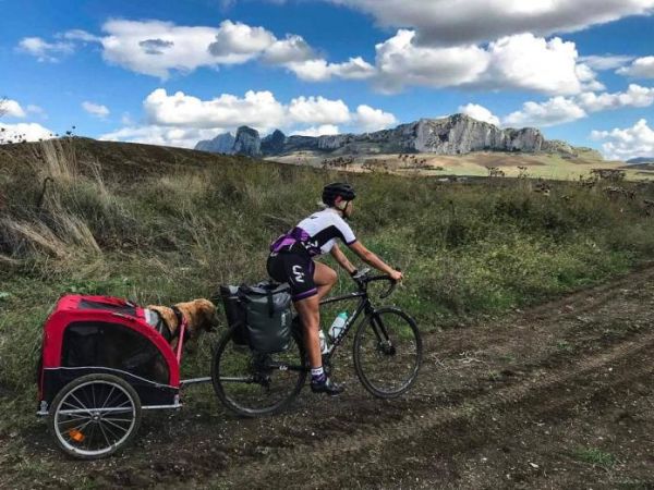 Il viaggio di Sisa: il ritorno