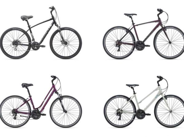 model year 2021 Giant Cypress DX, Giant Escape 3 Comfort, Liv Flourish FS 1 and Liv Alight 3 Comfort bicycles