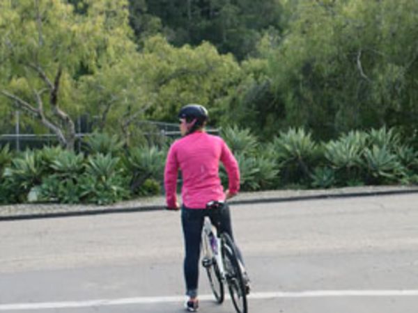 mtb squeaky disc brakes