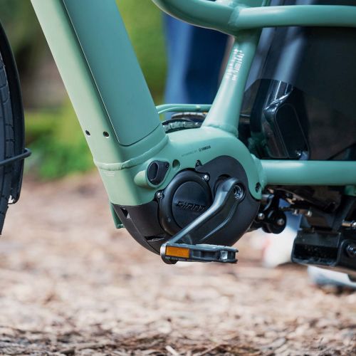 Electric Cargo Bike 