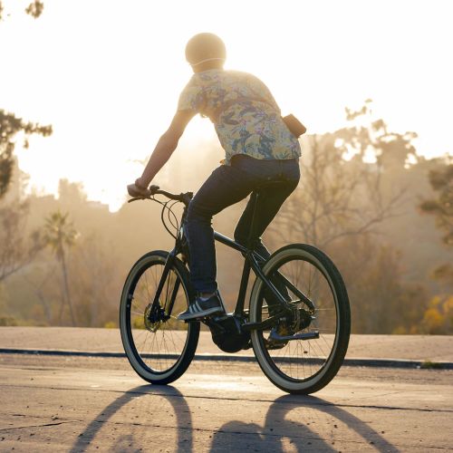 giant transend bike