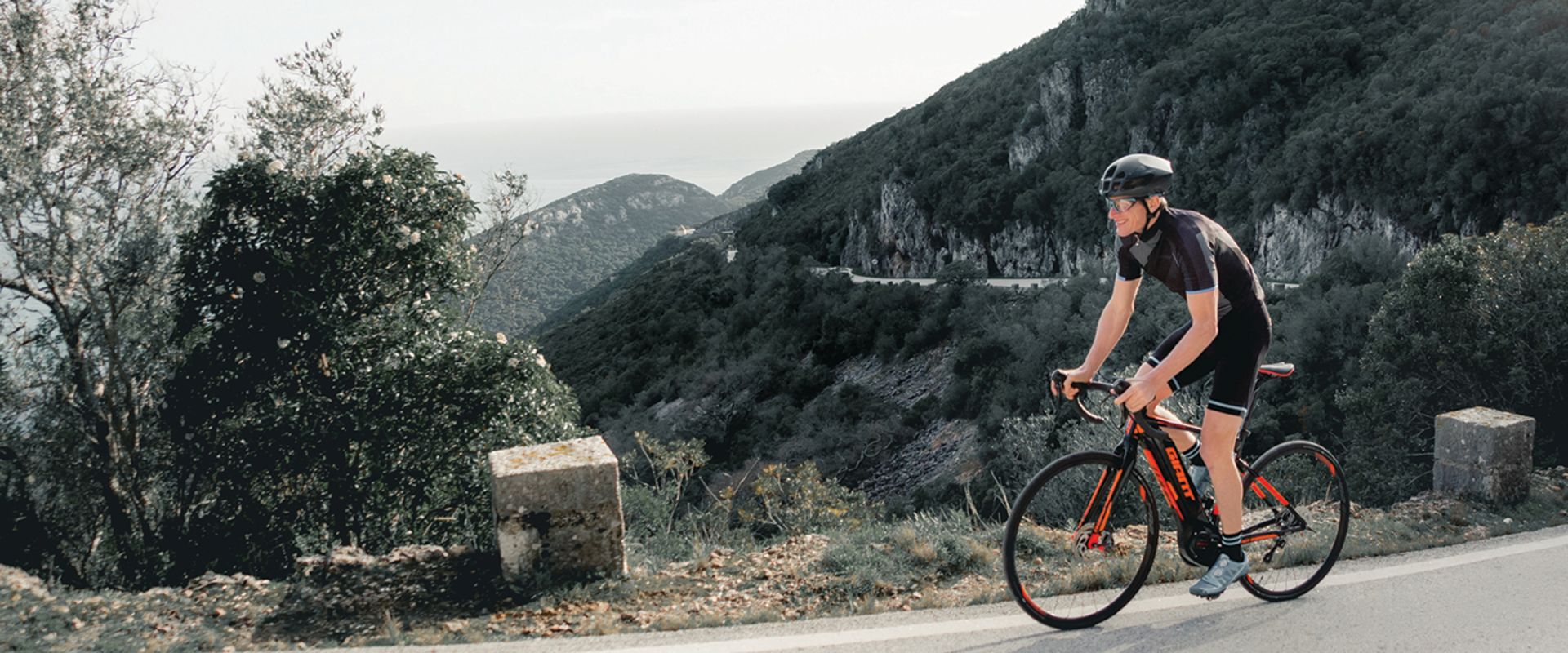 Road E+ Pro Electric Bike (2019 