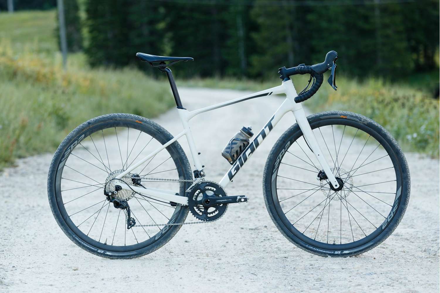 giant 21 speed bike