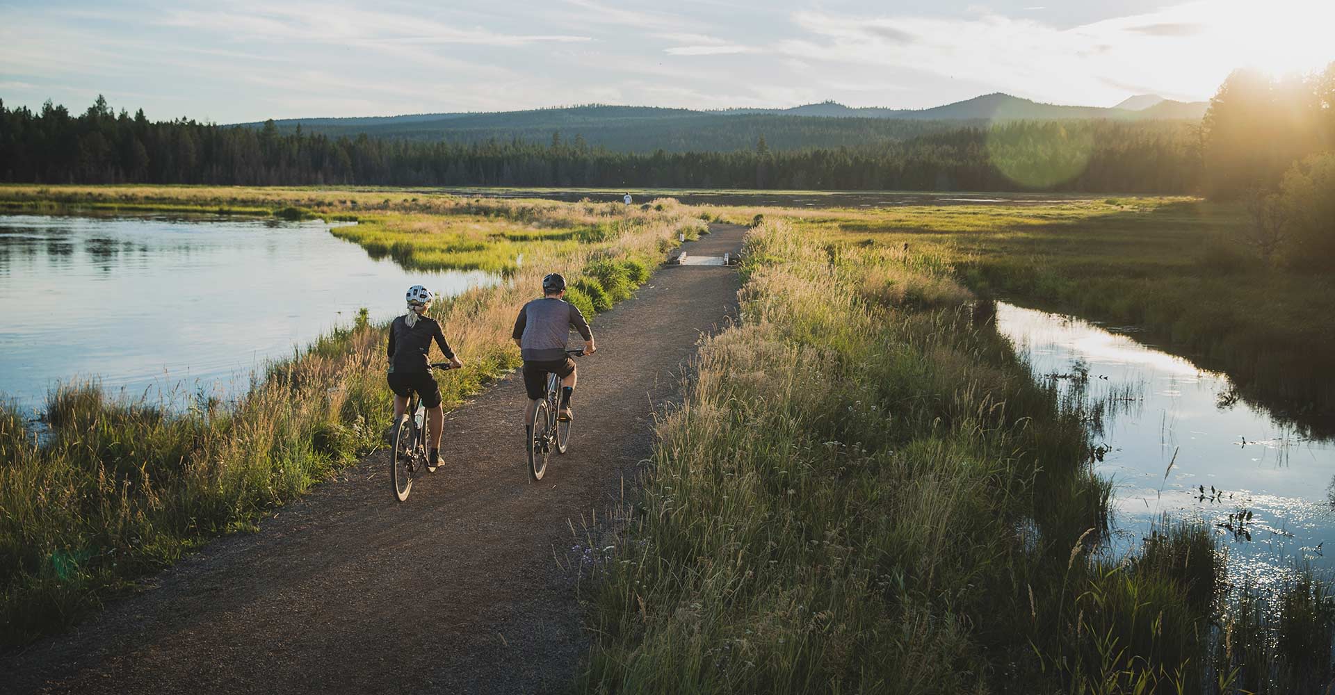 Click and Collect | Giant Bicycles 