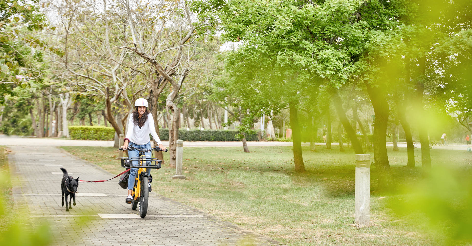 electric bikes