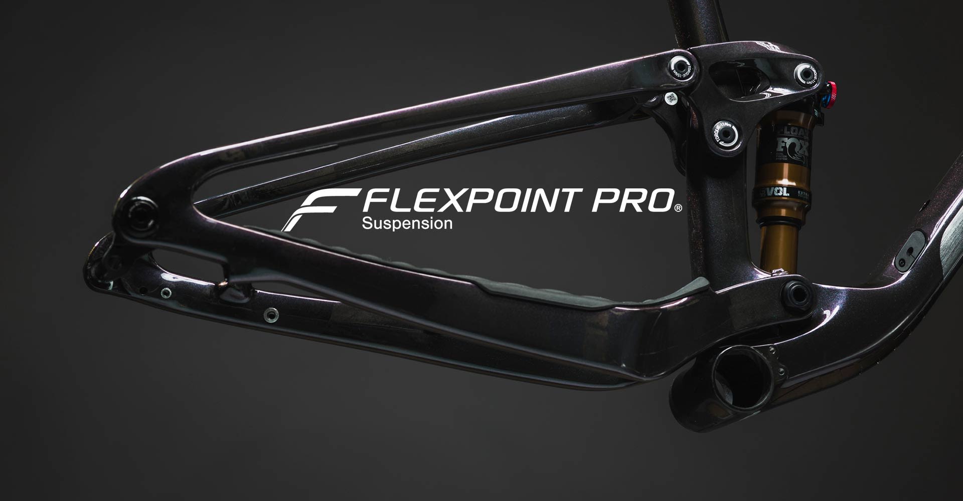 Flexpoint Pro Suspension