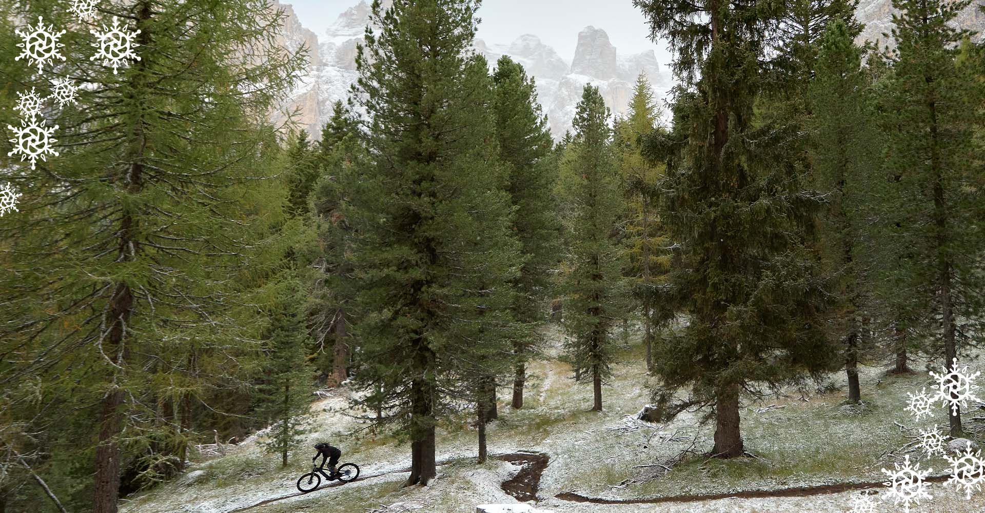 Giant Holiday Gift Guide