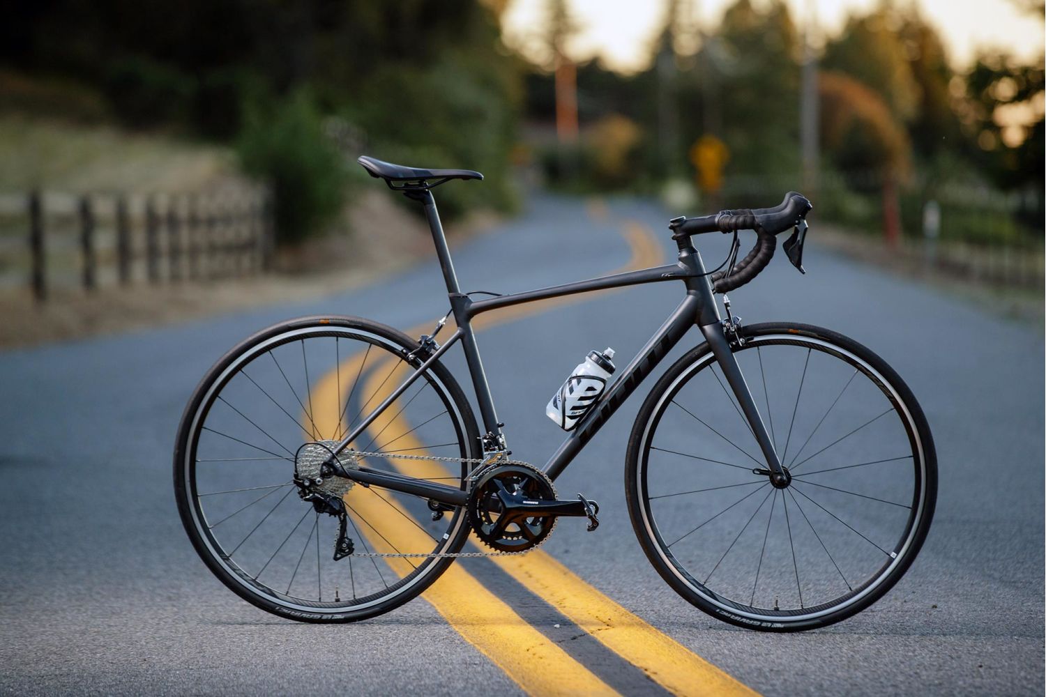 giant contend sl 2020