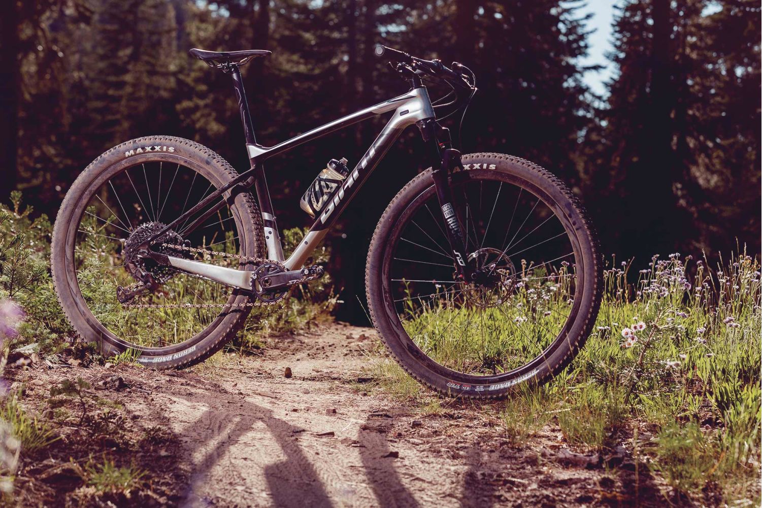 carbon fiber giant mountain bike