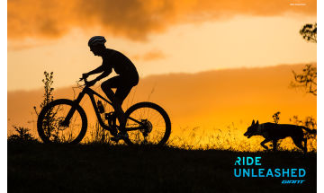 Wallpapers Giant Bicycles Official Site