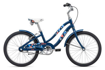20 giant bike