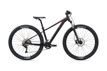 liv hardtail mtb