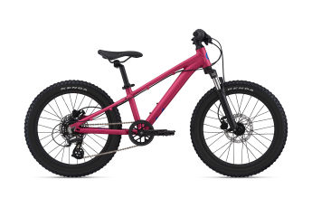 liv bikes kids