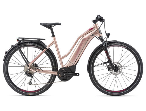 Amiti E+ 1 Electric Bike