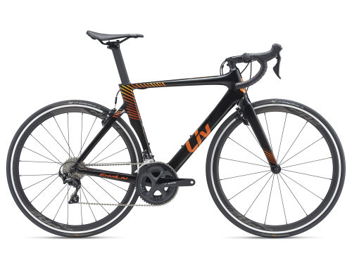 Enviliv Advanced 2