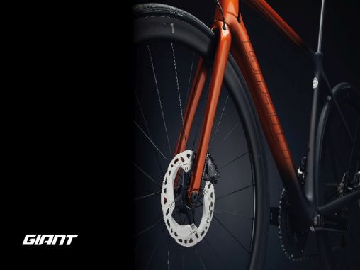 Nuova Collezione 2022