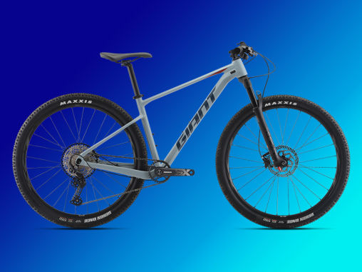 giant company cycles