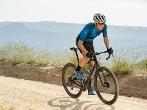 giant bicycles subsidiaries