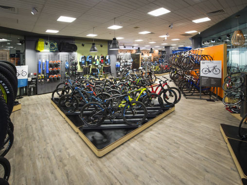 giant bicycles shop