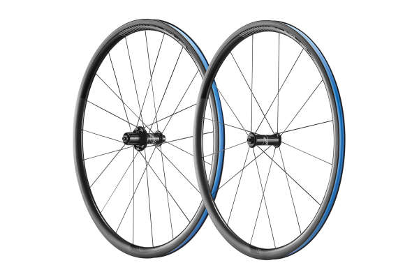 giant bike rims