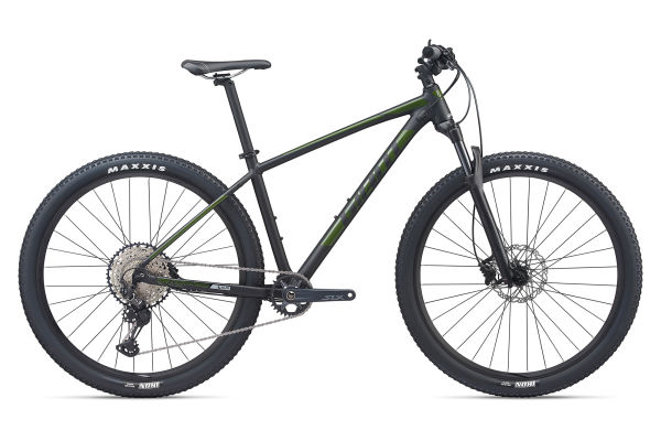 Terrago 29 1