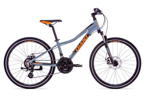 24 zoll jungen fahrrad giant