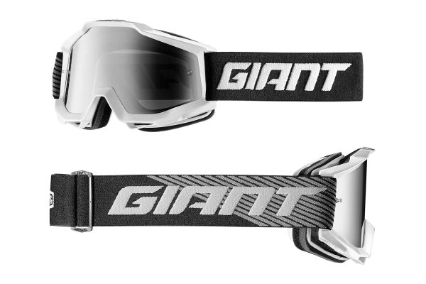 Goggle GNT x 100% Accuri DH