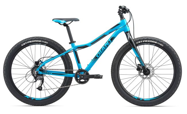 giant 26er
