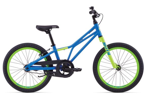 blue and green bike