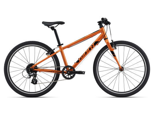 ARX 24 (2022) | Fitness bike | Giant 