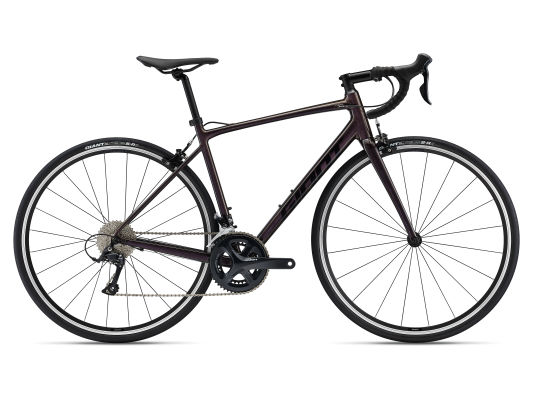 Contend 1 (2022) | All-Rounder bike 
