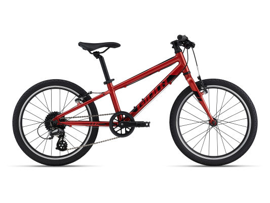 ARX 20 (2022) | Fitness bike | Giant 