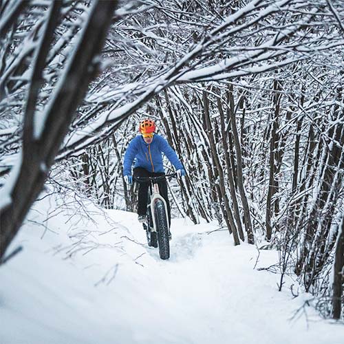 giant fat tire bikes for sale