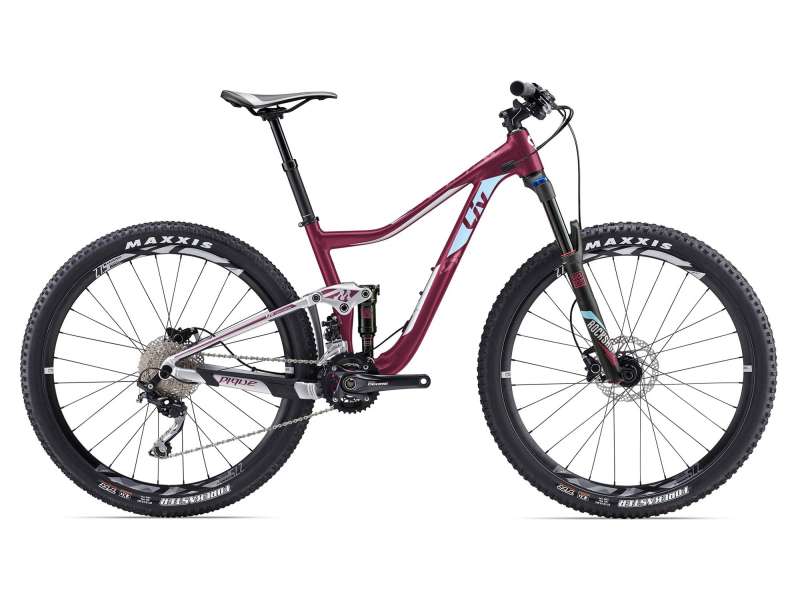 specialized enduro expert evo