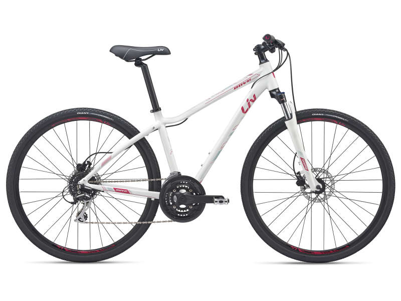 roam 3 disc ge