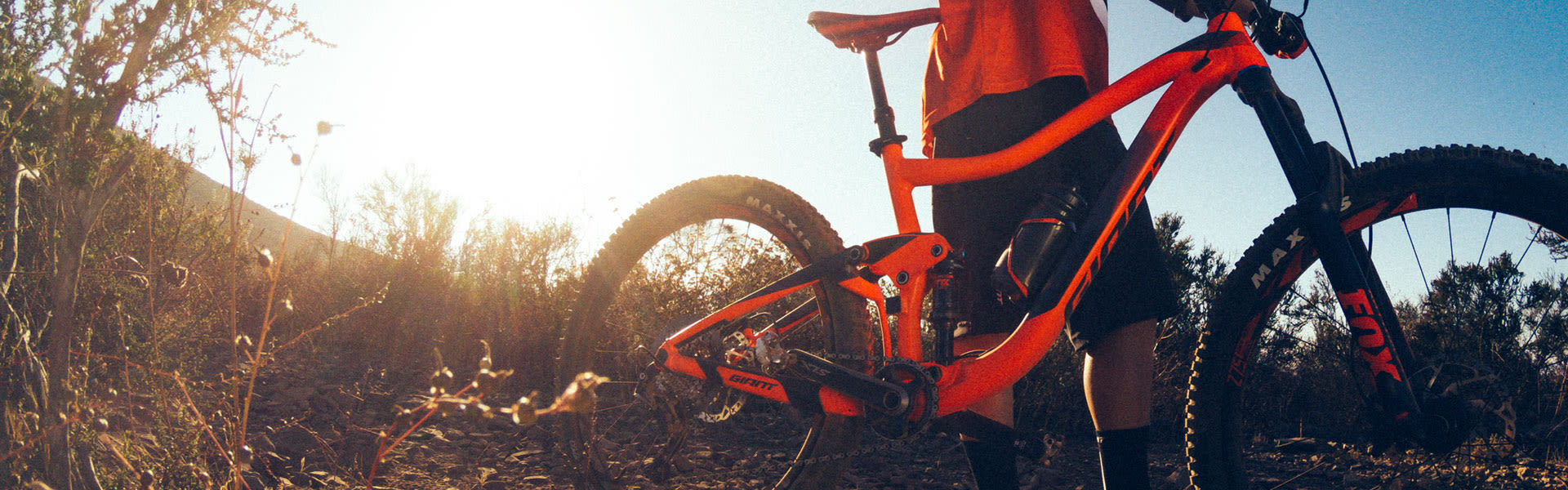 Giant Toronto Toronto Bike Shop Official Giant Bicycles Store