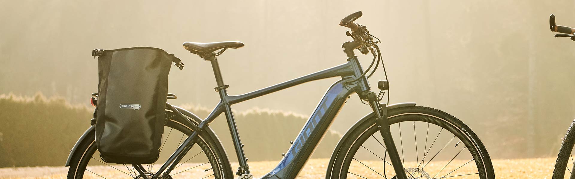 best bicycle for long rides