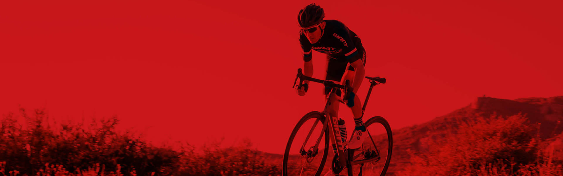 Giant Brand Store Norwich